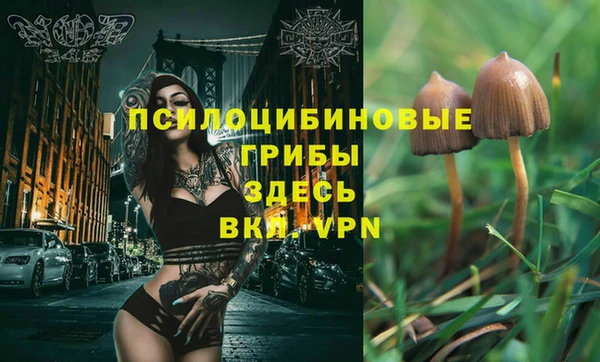 гидра Армянск