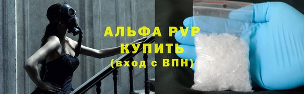 ешки Аркадак
