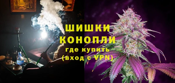трава Арсеньев