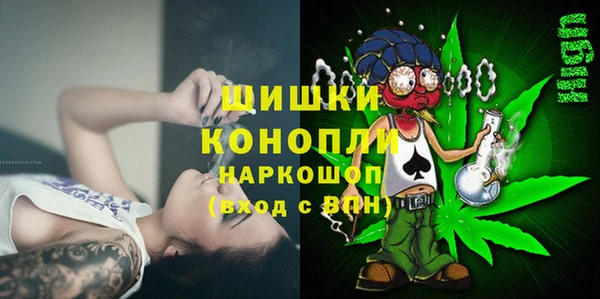 трава Арсеньев