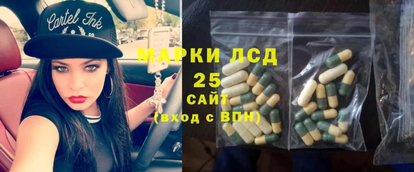 ешки Аркадак